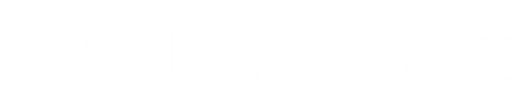 studio vizaviz